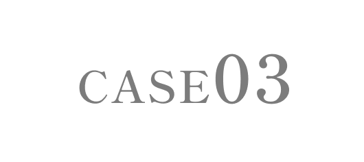 case03